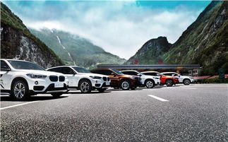 探索合肥星之寶汽車銷售服務 專業、信賴的汽車購買體驗